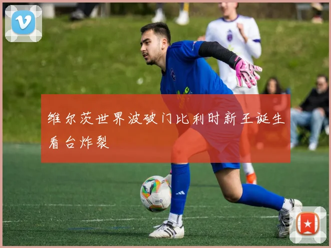 维尔茨世界波破门比利时新王诞生看台炸裂