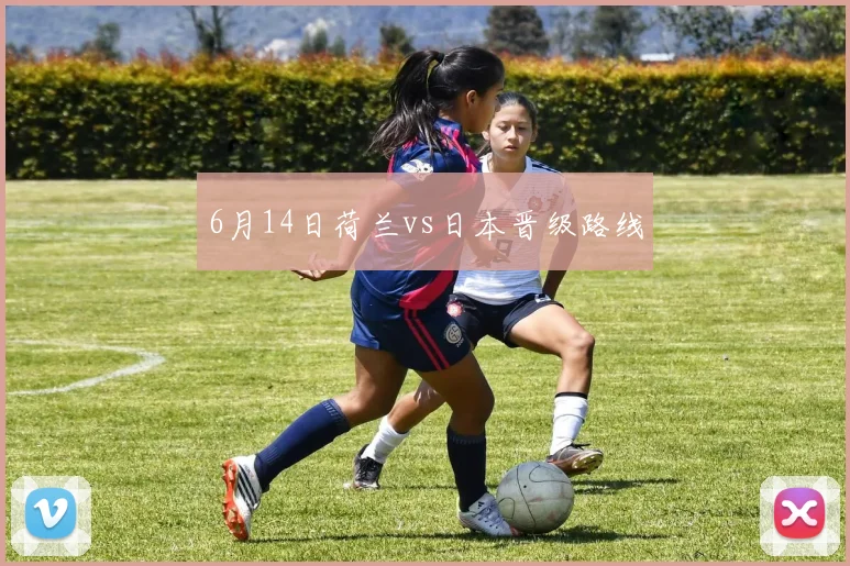 6月14日荷兰vs日本晋级路线