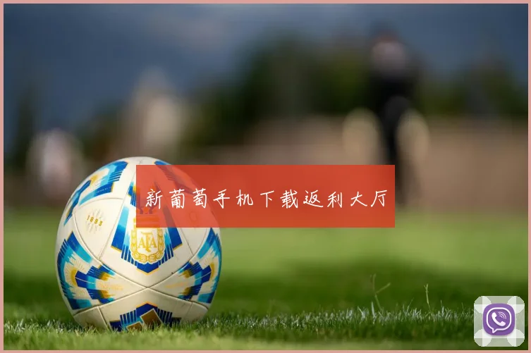 新葡萄手机下载返利大厅