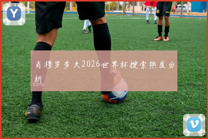 肖穆罗多夫2026世界杯搜索热度分析