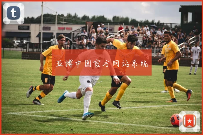 亚搏中国官方网站系统