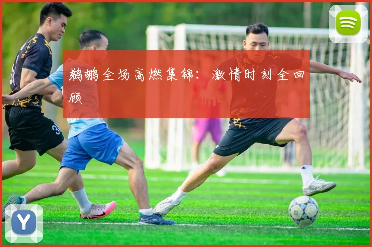 鹈鹕全场高燃集锦：激情时刻全回顾