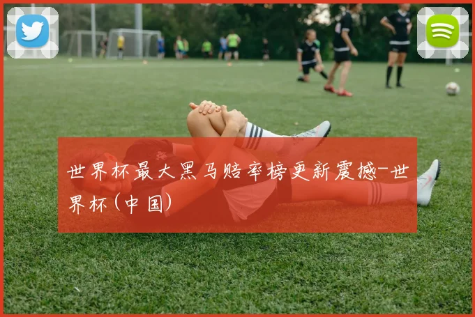 世界杯最大黑马赔率榜更新震撼-世界杯(中国)