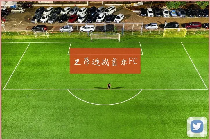 里昂迎战首尔FC