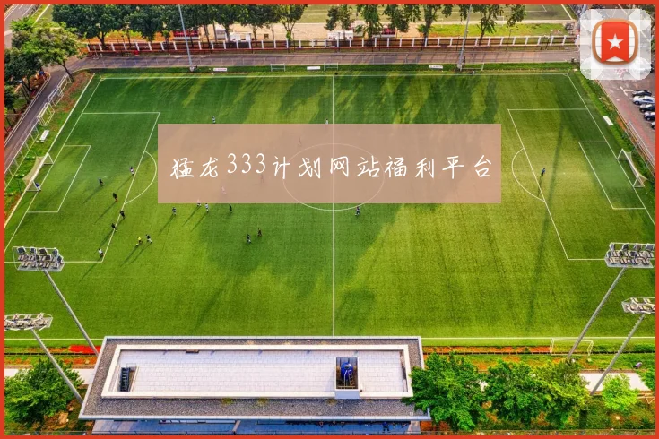 猛龙333计划网站福利平台
