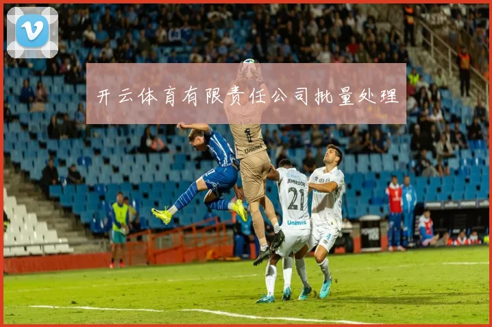 开云体育有限责任公司批量处理