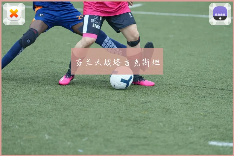 芬兰大战塔吉克斯坦