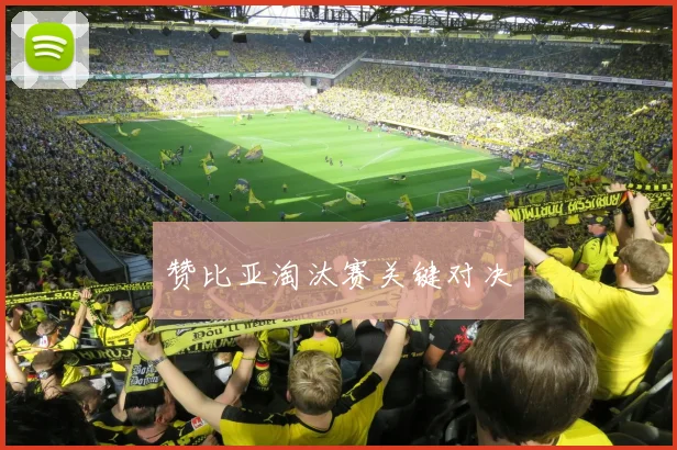 赞比亚淘汰赛关键对决