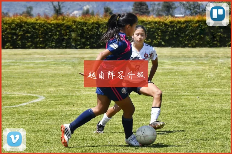 越南阵容升级