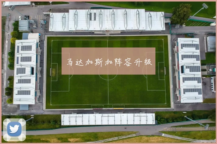 马达加斯加阵容升级