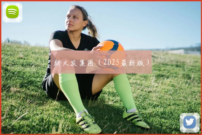 新大发集团（2025最新版）