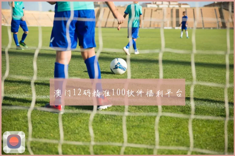 澳门12码精准100软件福利平台