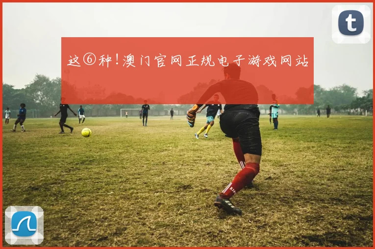 这⑥种!澳门官网正规电子游戏网站
