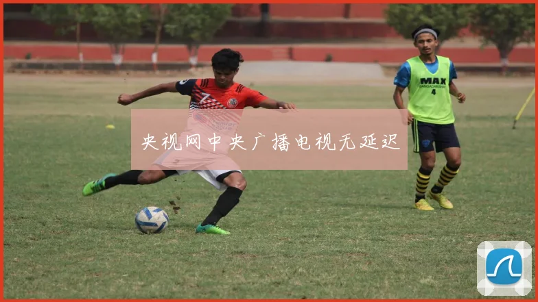 央视网中央广播电视无延迟