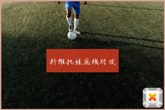 科维托娃底线对攻