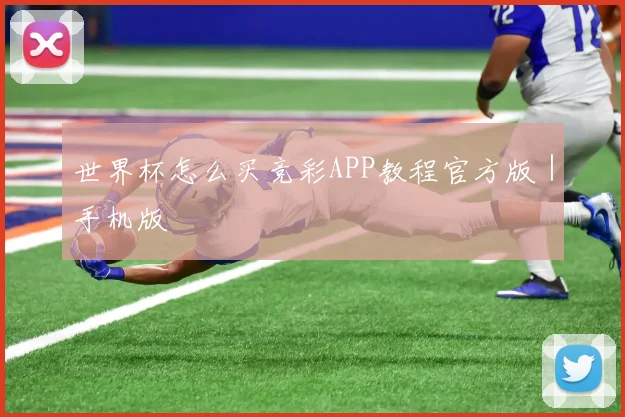 世界杯怎么买竞彩APP教程官方版｜手机版
