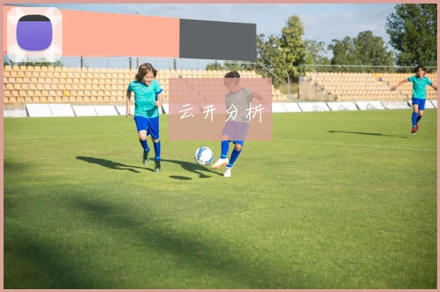 云开分析