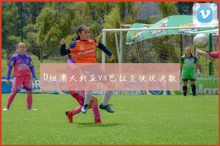 D组澳大利亚vs巴拉圭快攻次数