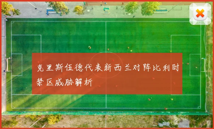 克里斯伍德代表新西兰对阵比利时禁区威胁解析