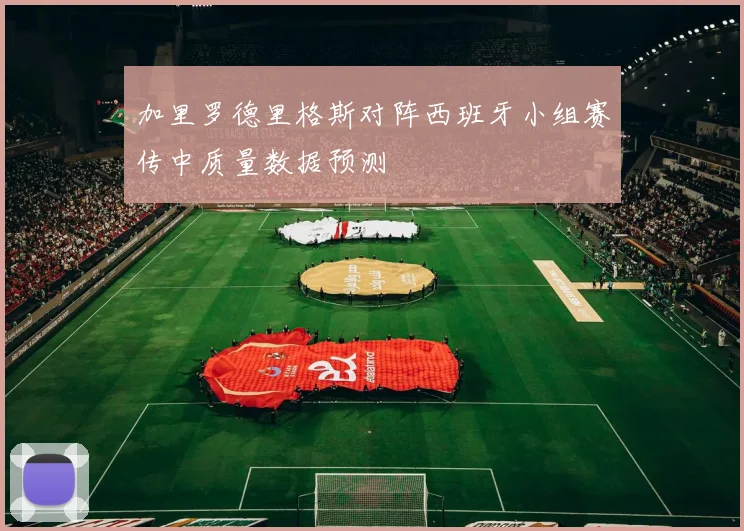 加里罗德里格斯对阵西班牙小组赛传中质量数据预测