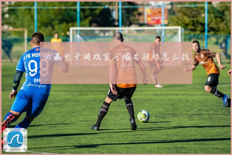必赢电子游戏官方域名核对怎么找