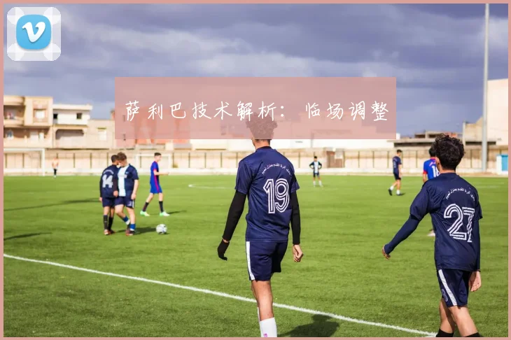 萨利巴技术解析:临场调整